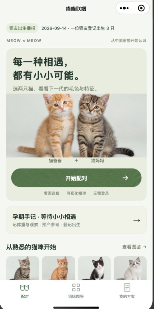 喵喵联姻 · MEOW × MEOW: 每一种相遇,都有小小可能。